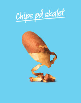 gör chips av skal gör chips av skal