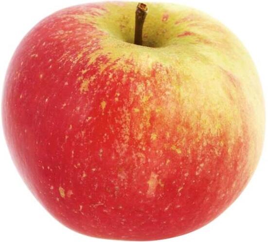 Äpple Discovery