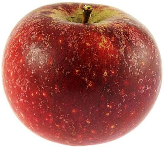 Äpple Ingrid Marie