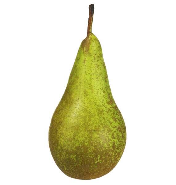 Päron Conference, Klass 1