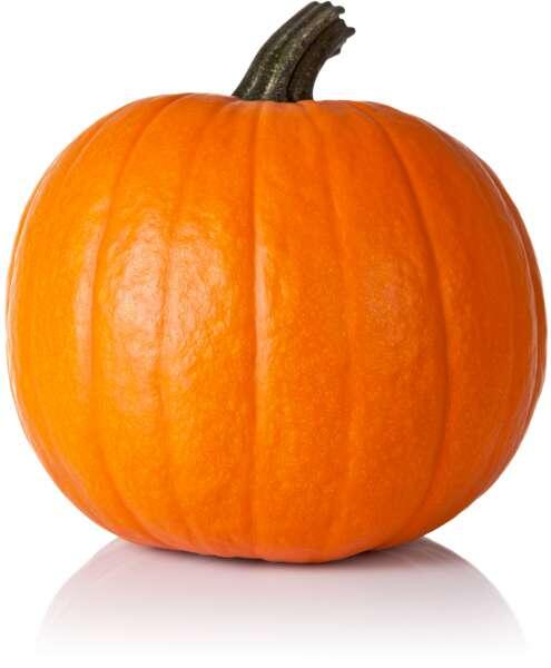 Pumpa Halloween