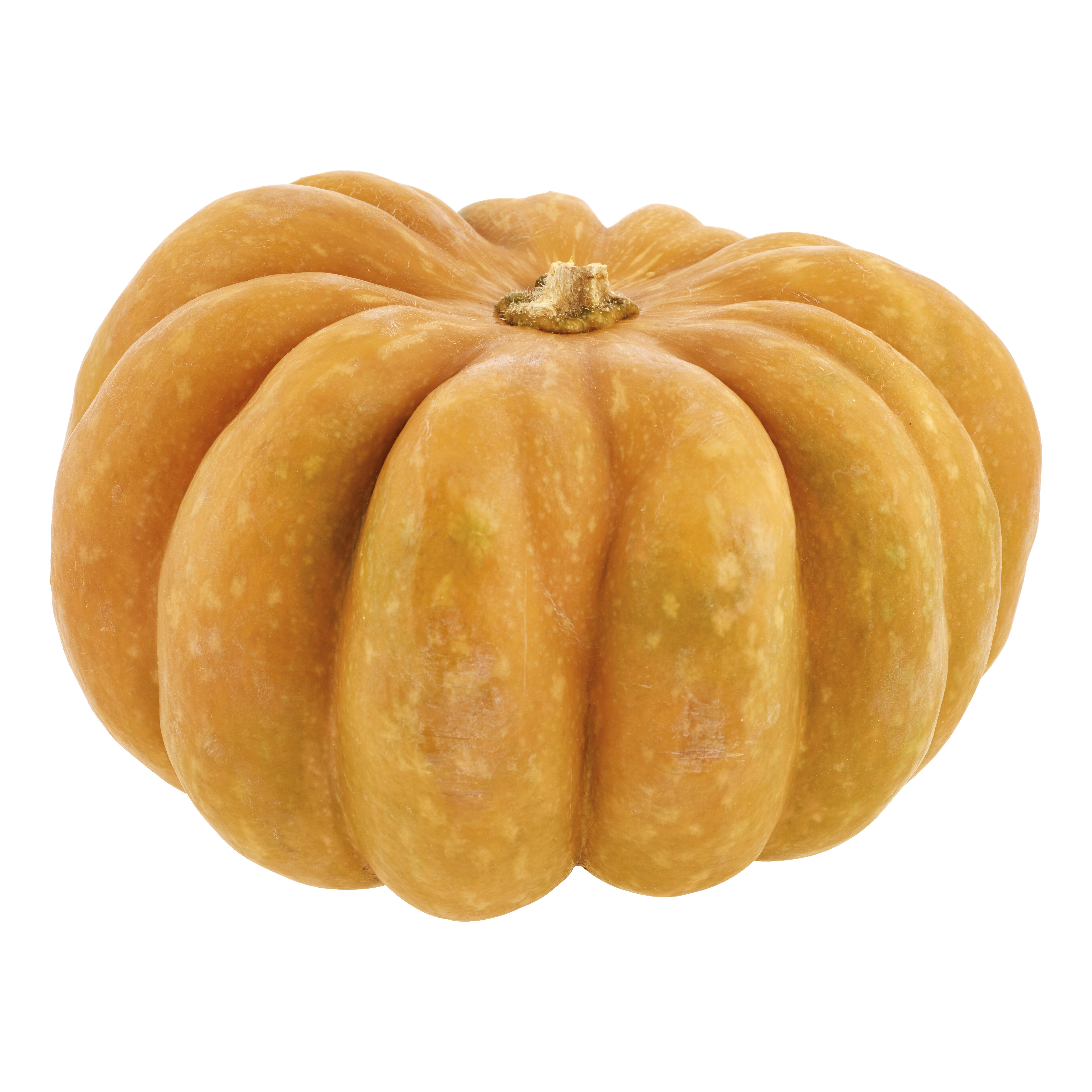 Pumpa Muskat