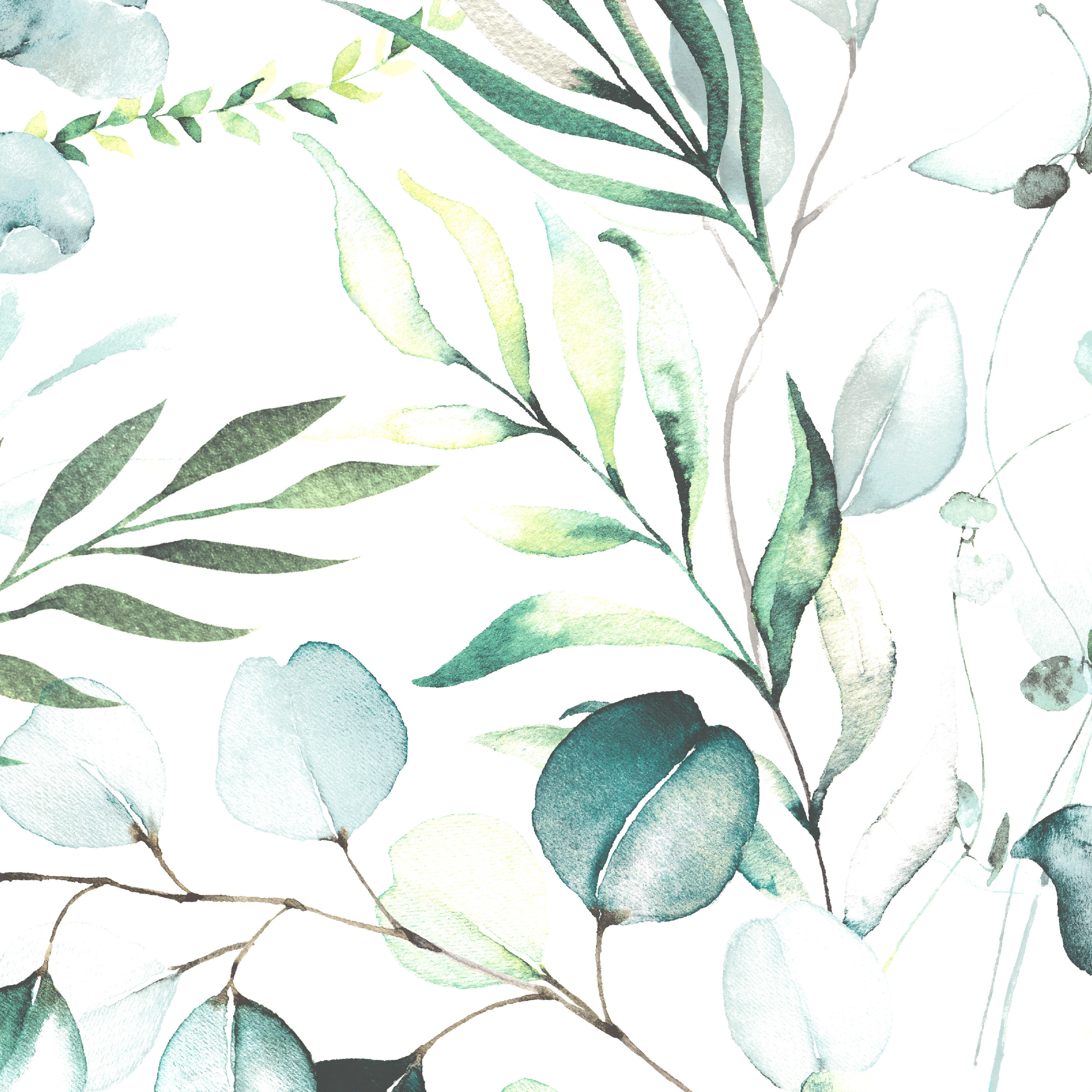 Servett Eucalyptus