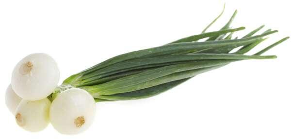 Lök Gul Knippe