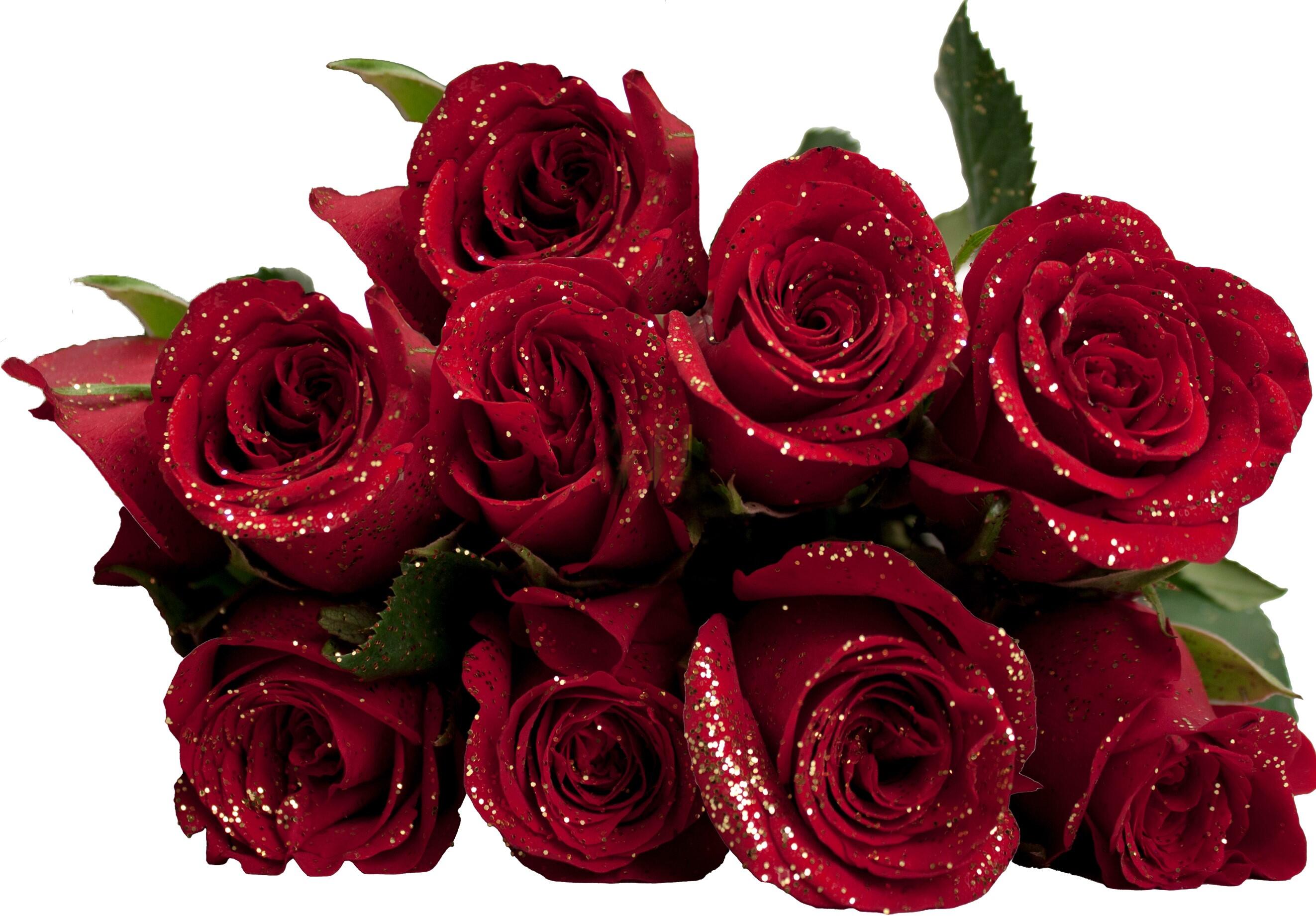 Rosor Röd Guldglittter