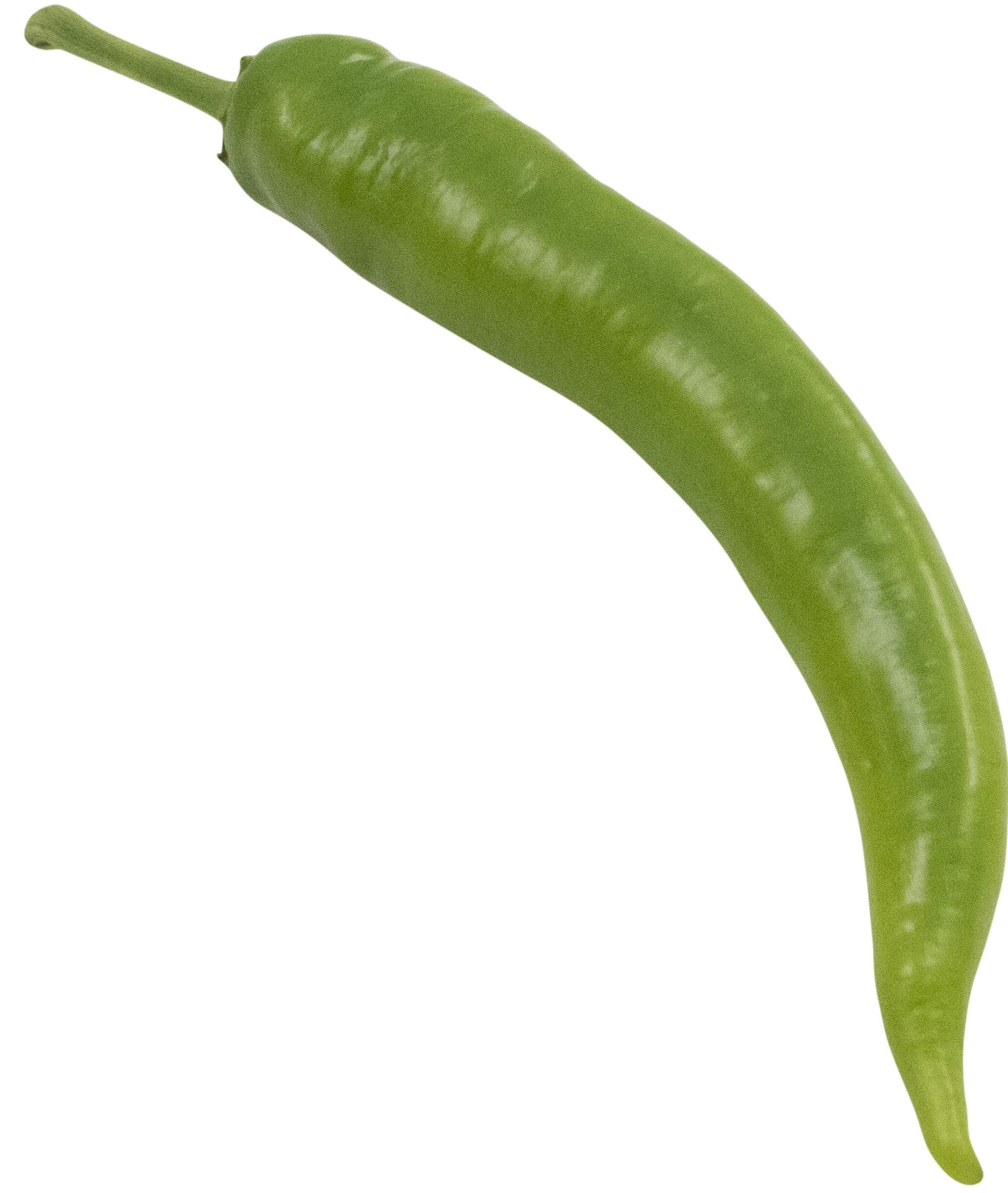 Paprika Sivri