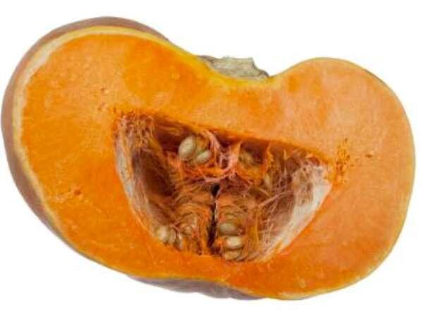 Pumpa Delad