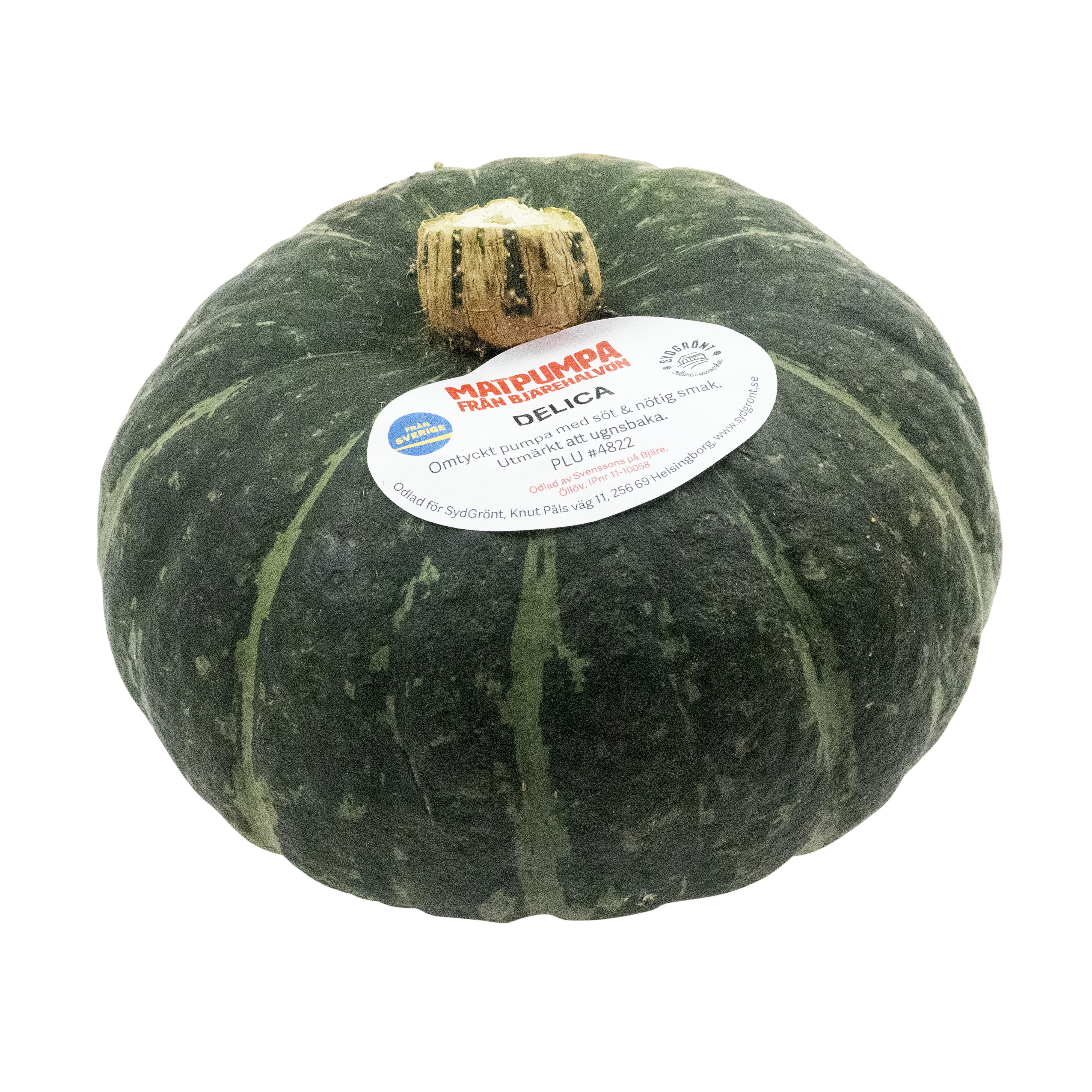 Pumpa Delica
