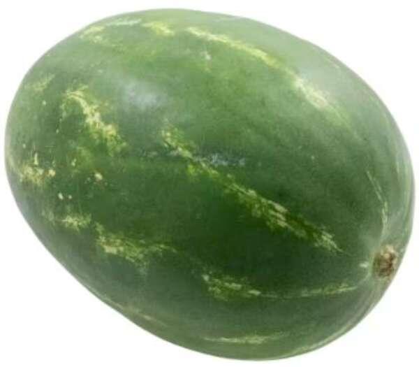 Melon Vatten Dumara