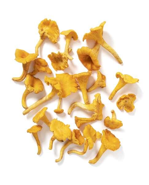 Kantareller Import