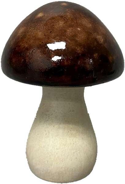 Svamp