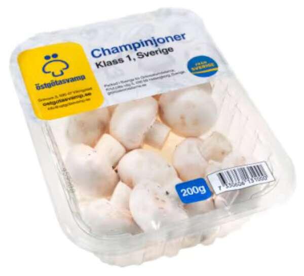 Svamp Champinjon