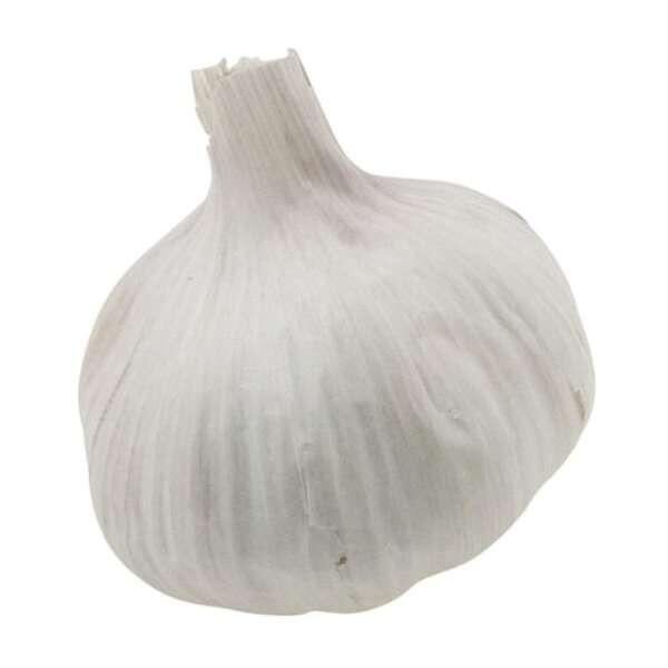 Vitlök Morado, Klass 1