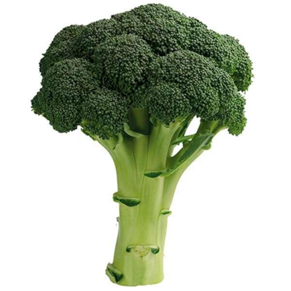 Broccoli, Klass 1