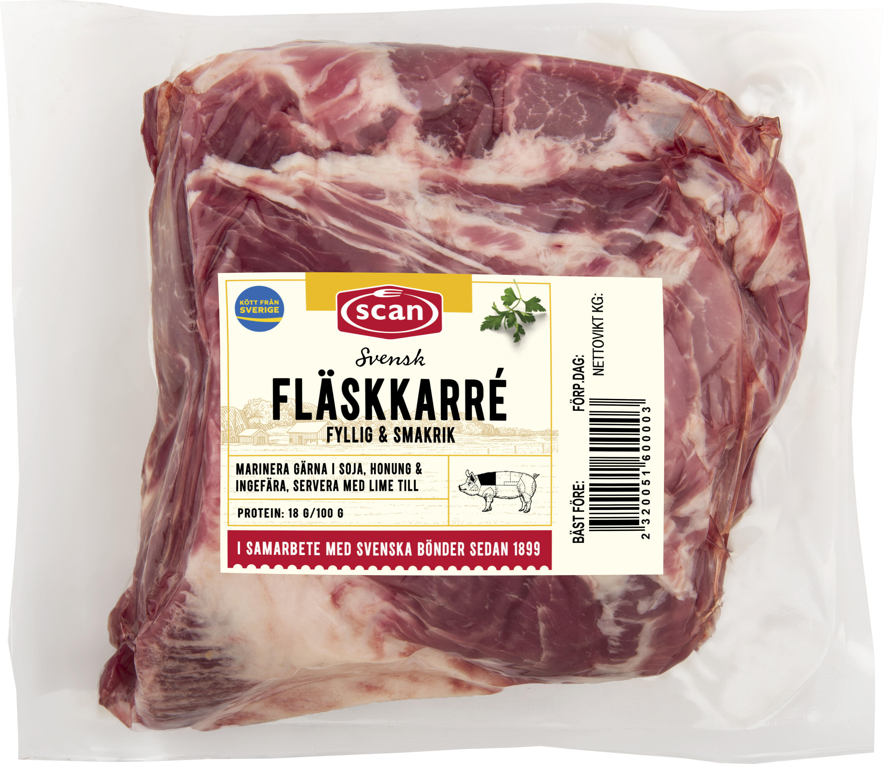 Pigghamkarré Benfri