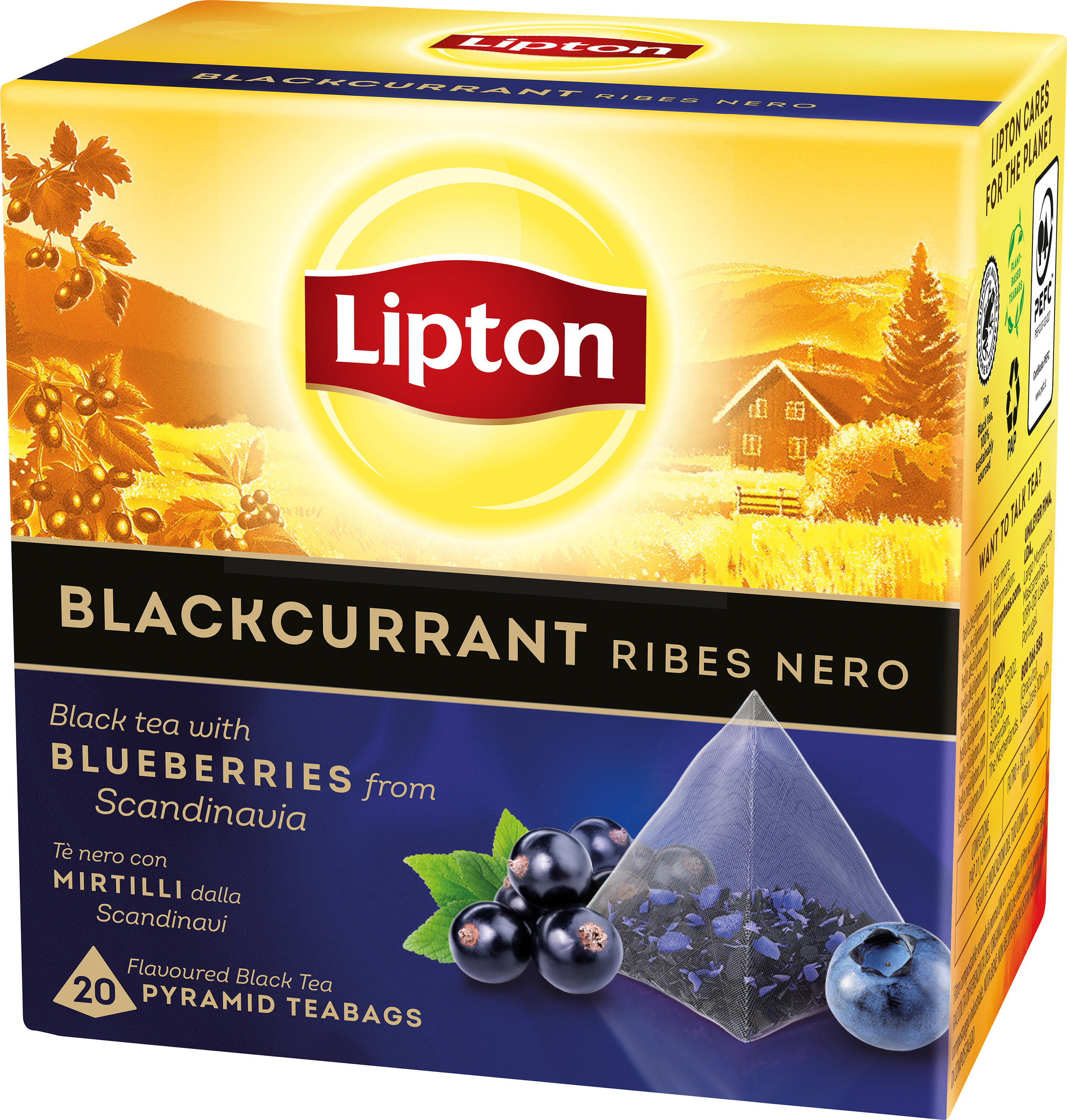 Pyramidte Blackcurrant