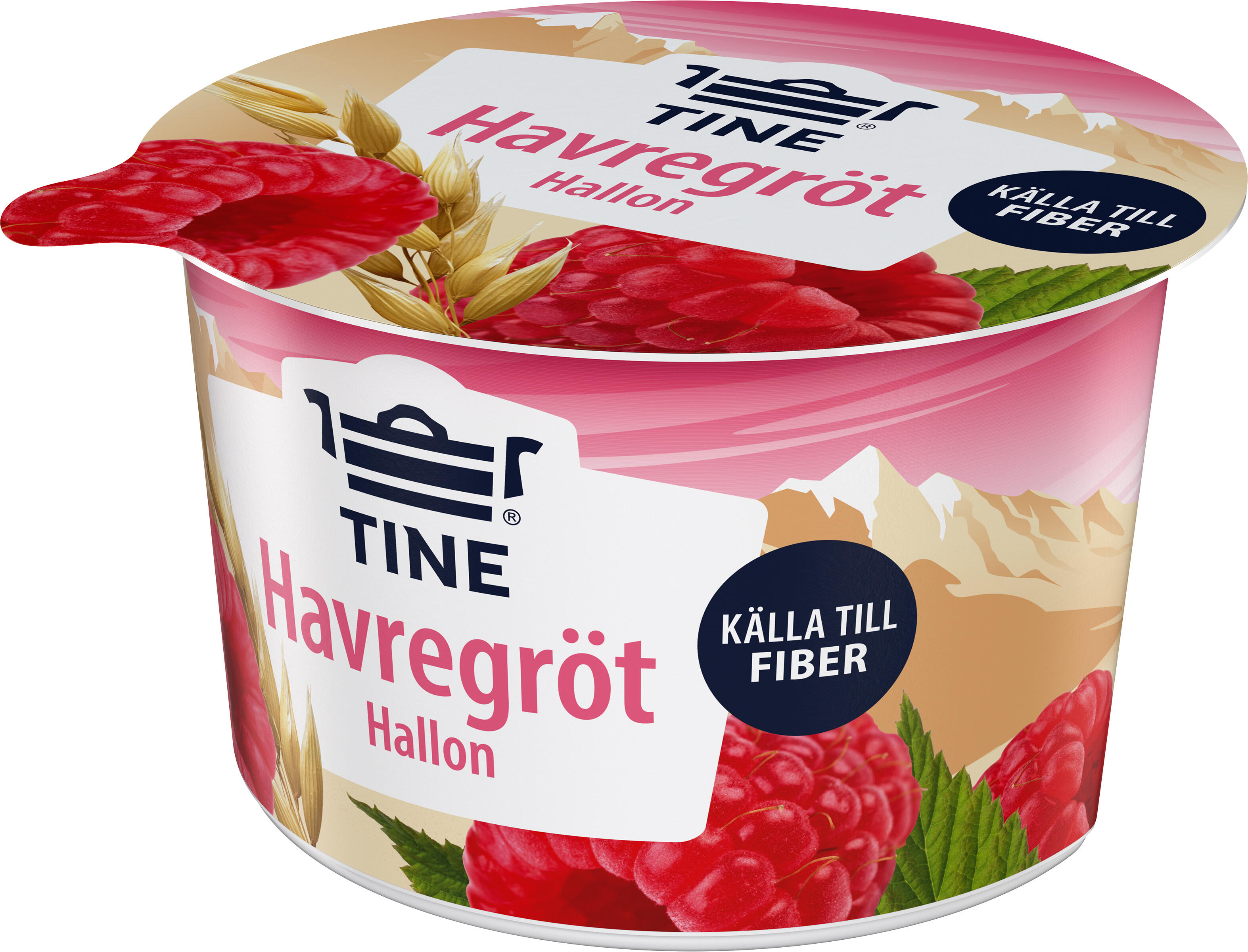 Hallon Havregröt