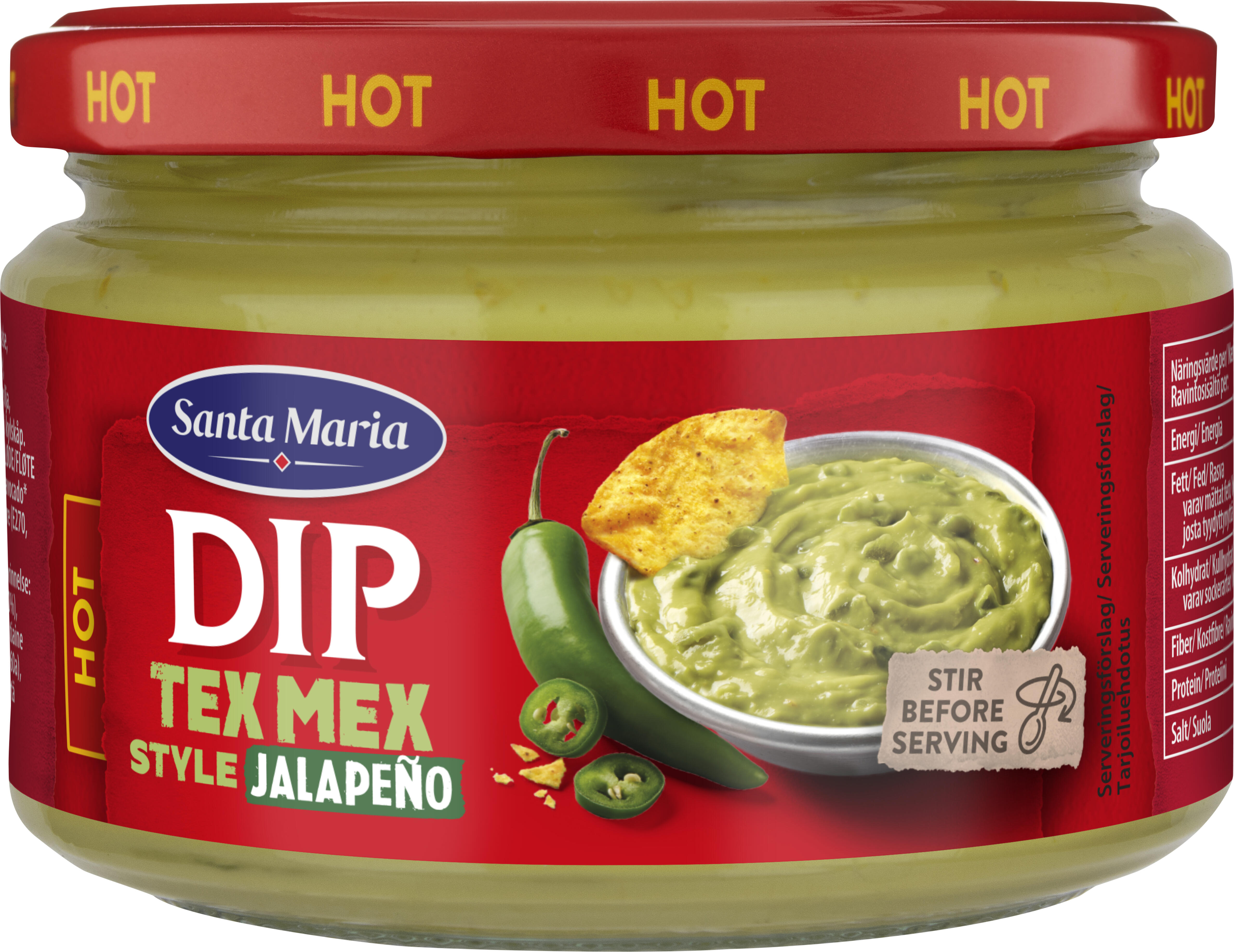 Tex Mex Dip Hot