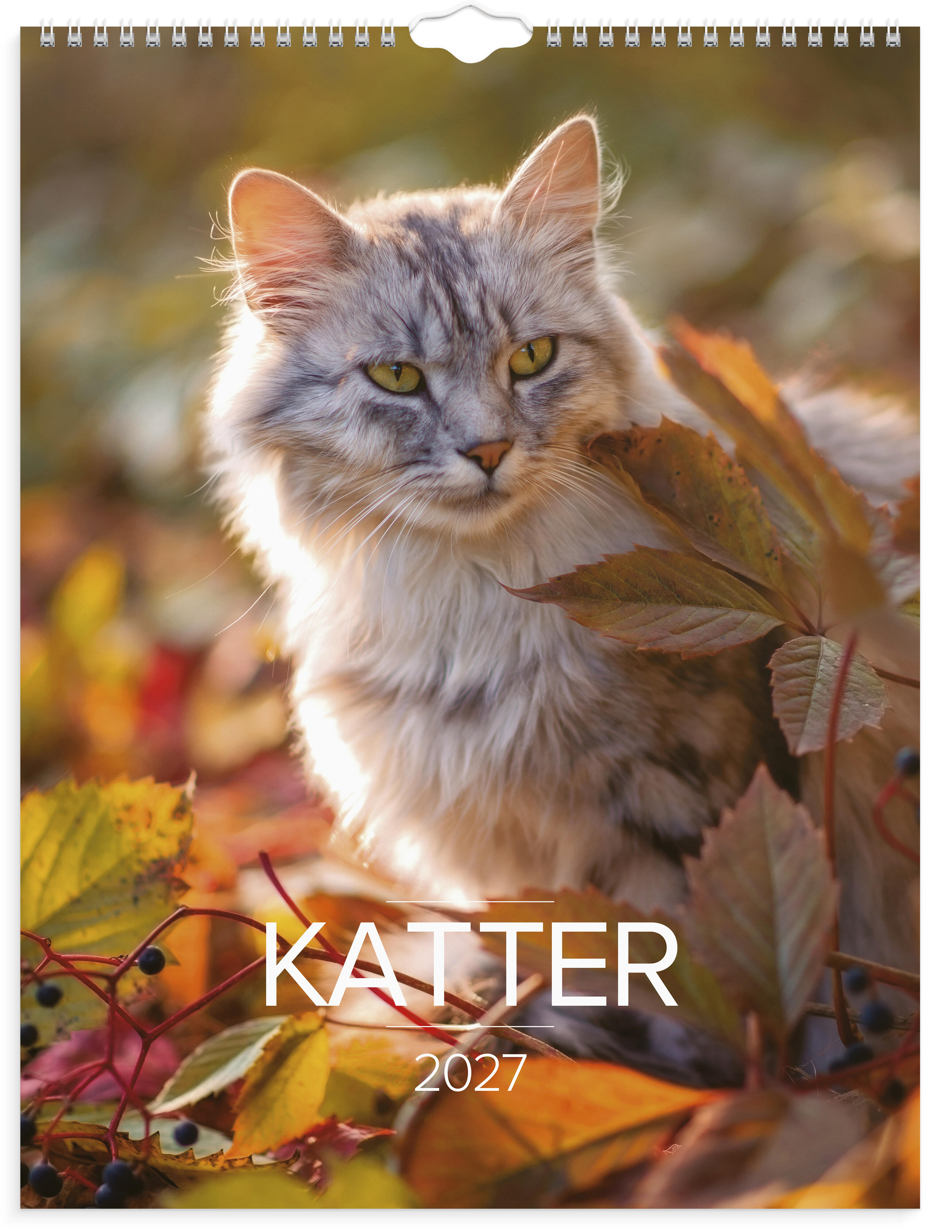 Väggkalender Stora Katt