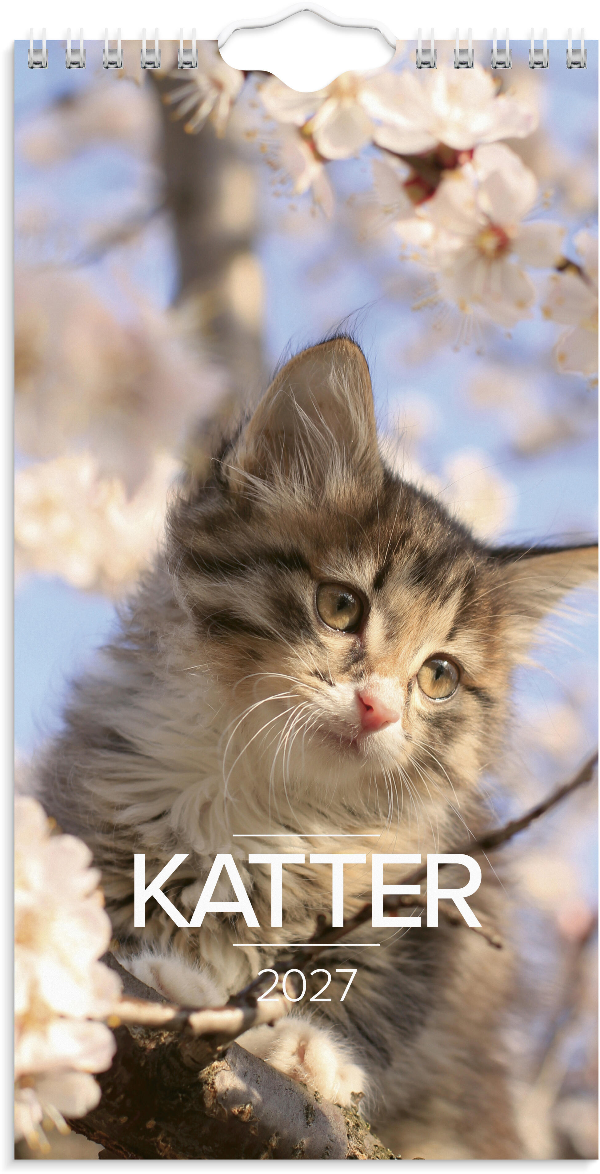 Väggkalender Lilla Katt