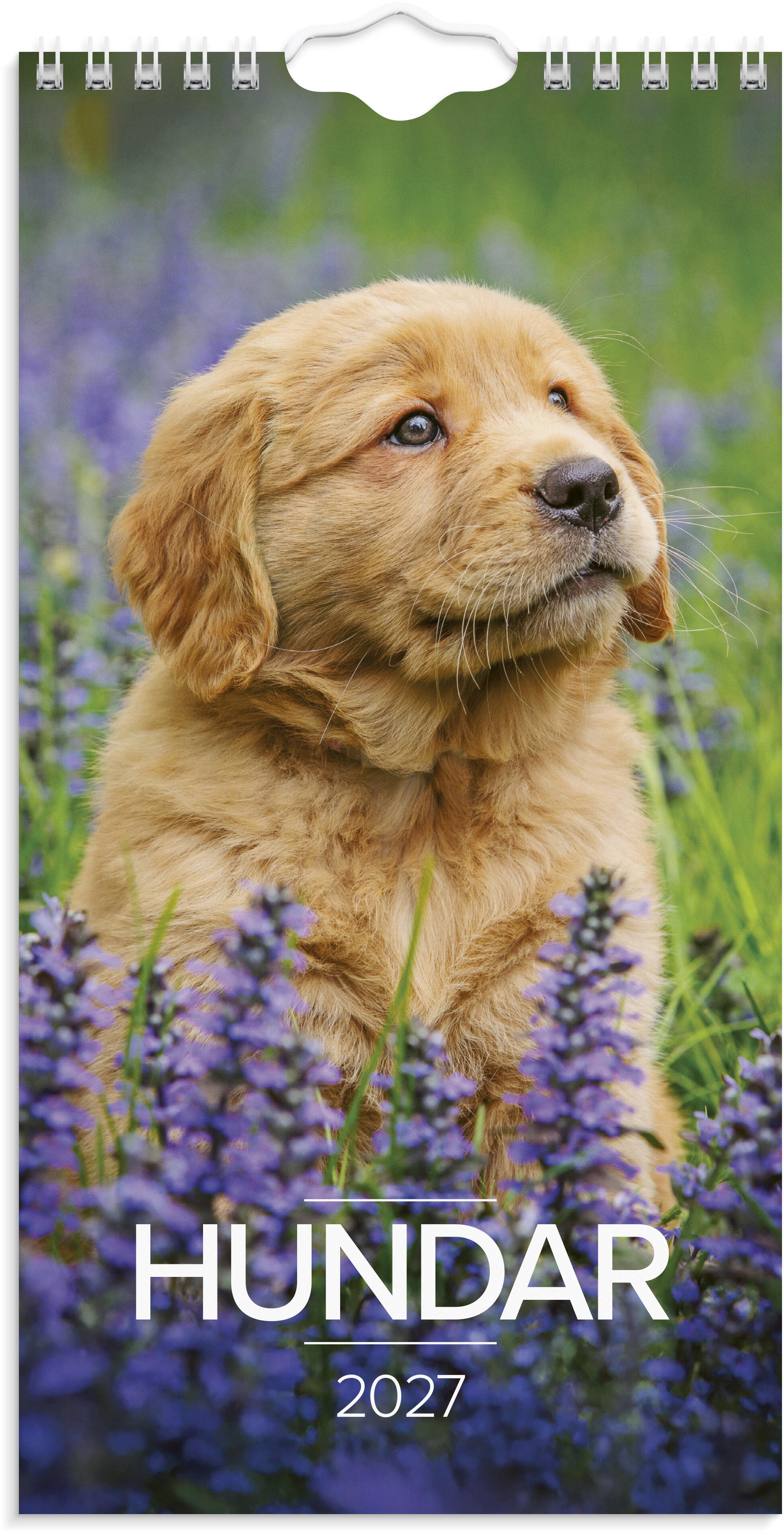 Väggkalender Lilla Hund