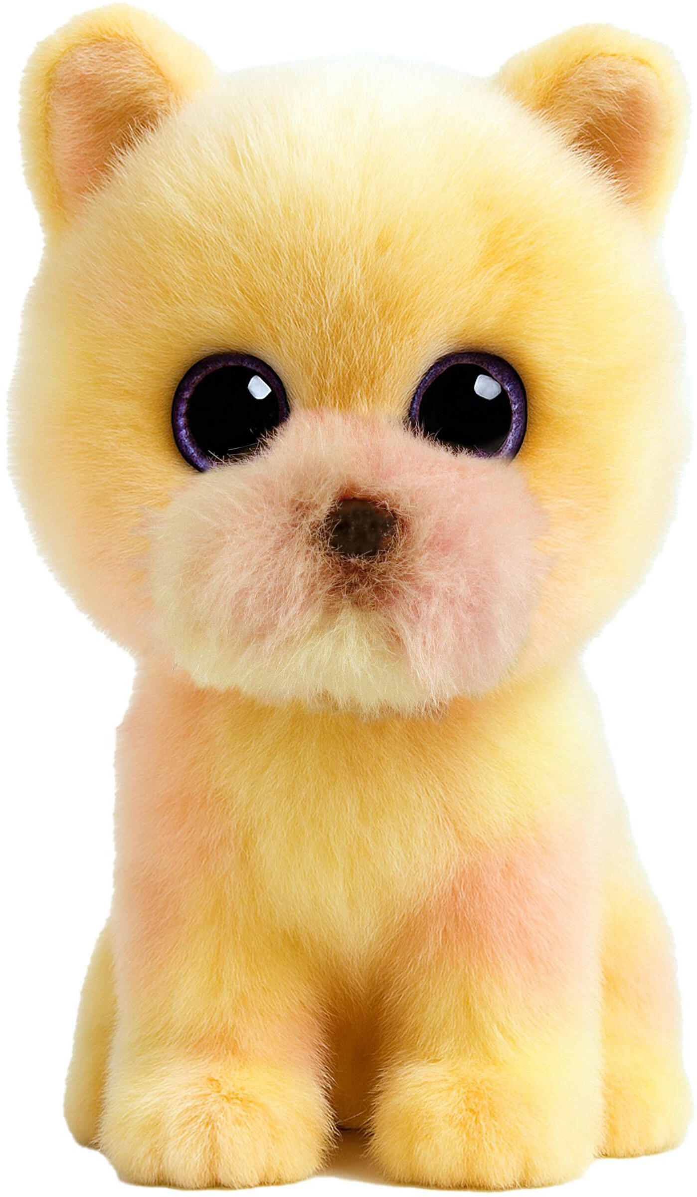 Palmer Pomeranian
