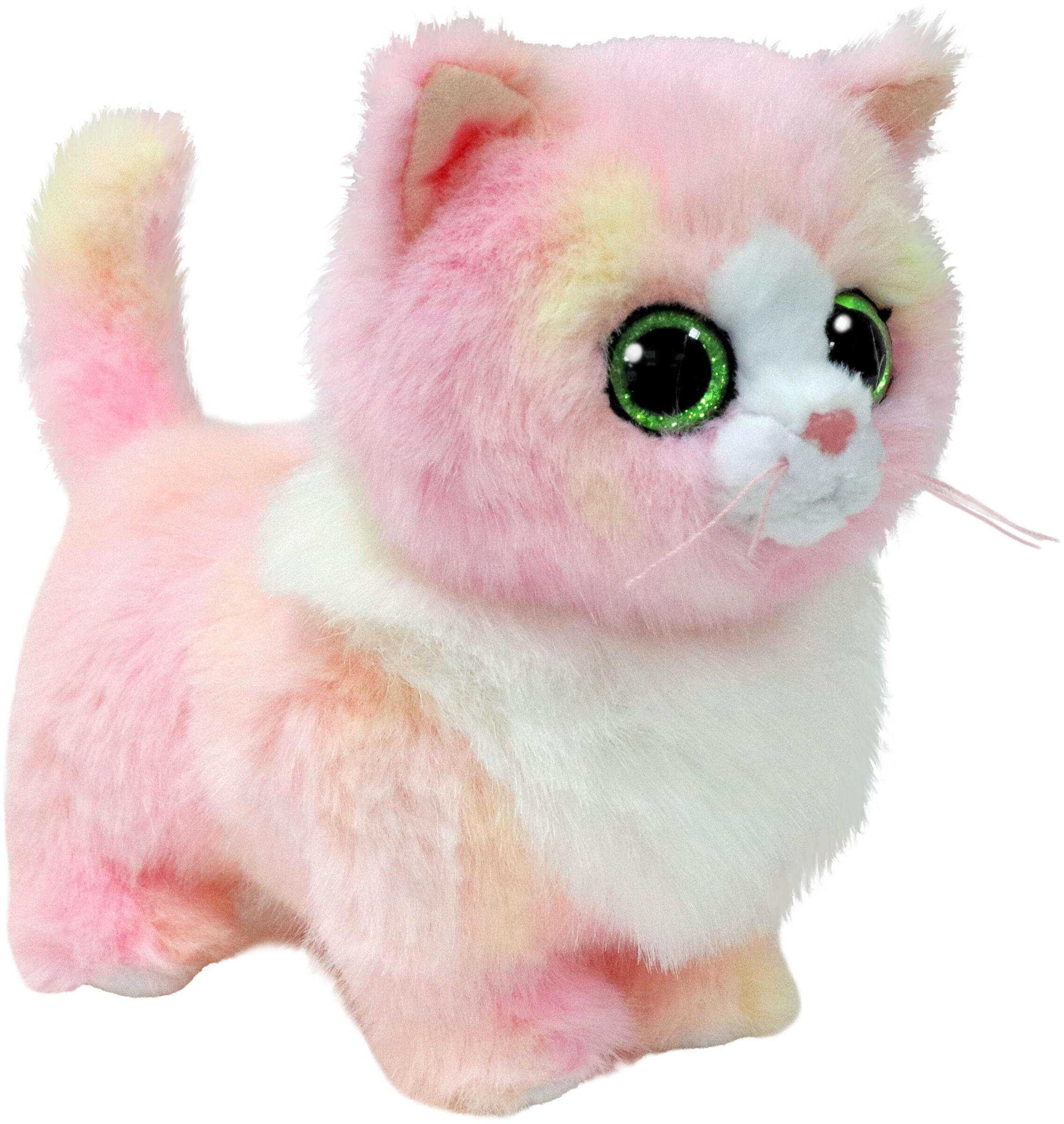 Lady Cat