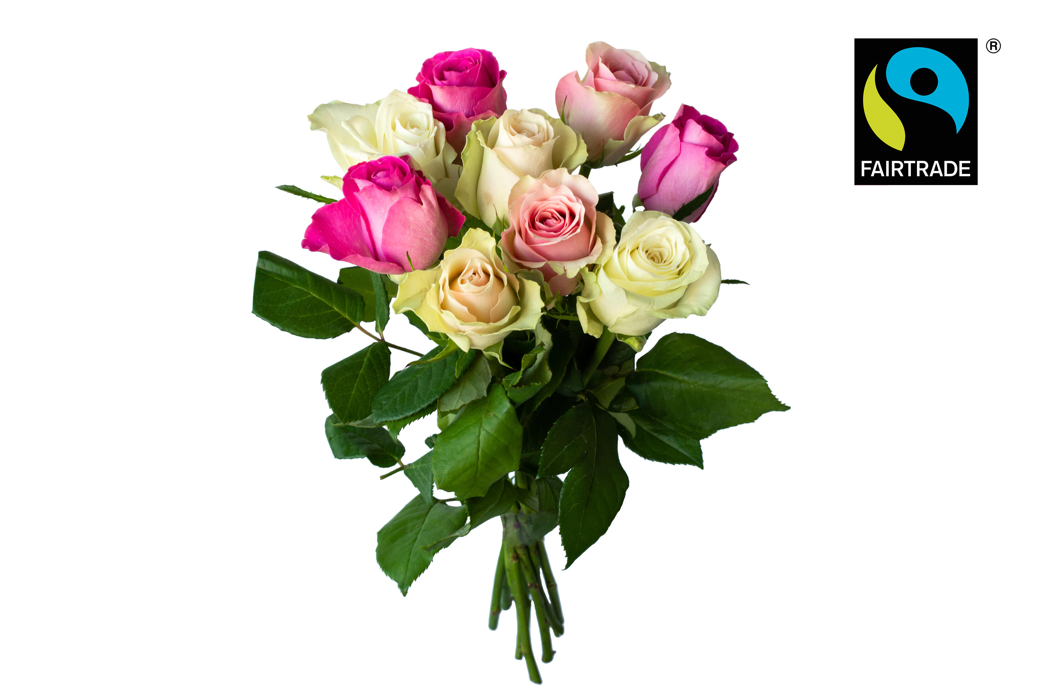 Rosor 9P Ft 35Cm